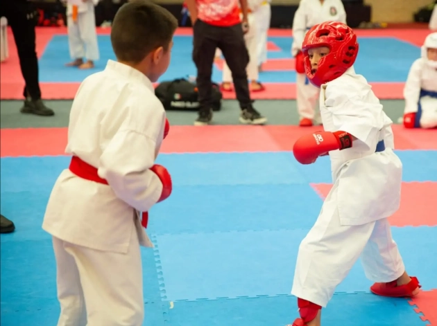 Imcufide será sede de 6ta Copa de Karate Do Goyu Ryu Internacional Morelia 